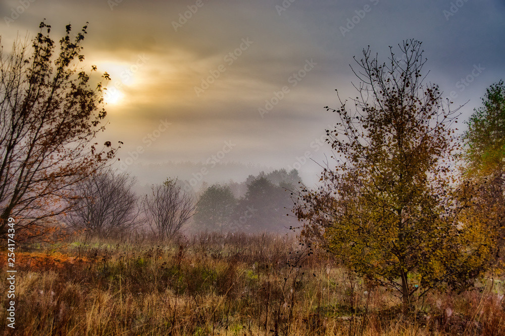 autumn sunrise, foggy morning with trees and bushes with withered leaves