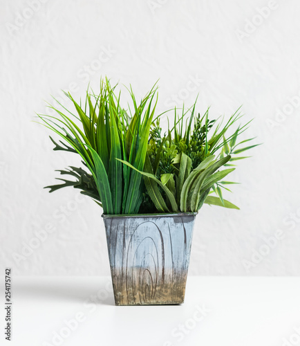Mini grassy plant in flowerpot on desk, crop