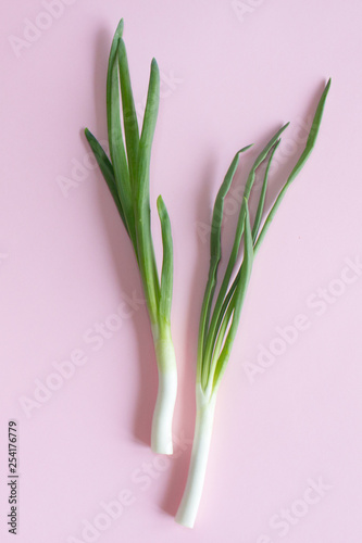 young green onions on a background  pink background