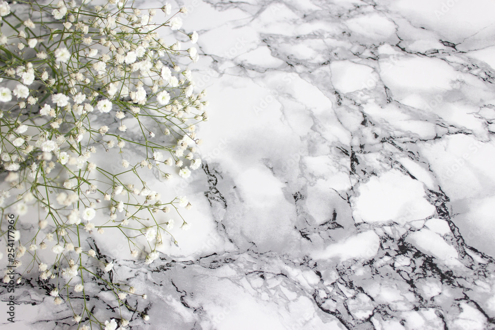 Summer white flowers on white marble background. marble texture with a natural pattern Summer white flowers on white marble background. marble texture with a natural pattern