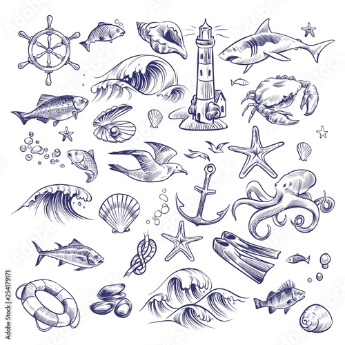 Hand drawn marine set. Sea ocean voyage lighthouse shark crab octopus starfish knot crab shell lifebuoy collection