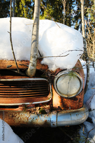 Tree growing through the old, abandoned Goliath Hansa 1100 Kombi car. Lot of snow over car. 