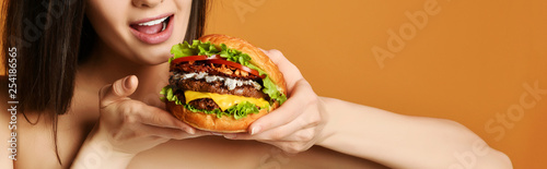Obraz na plátně Fast food concept