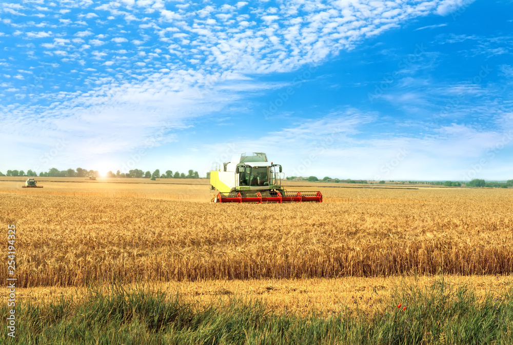Combine harvester on a wheat field. Combine harvester on a wheat field.
