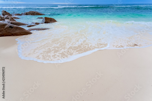 Langue de mer aux Seychelles  photo