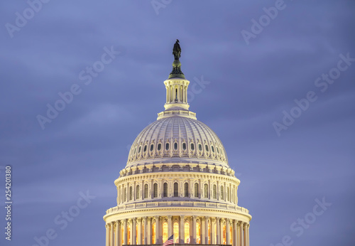 The United States Capitol in Washington, DC.