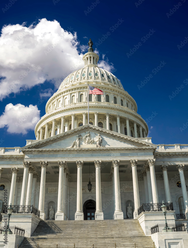 Obraz premium Capitol Building, Washington DC