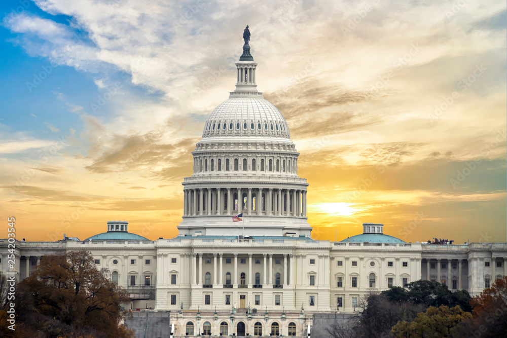 Fototapeta premium Capitol Building, Washington DC