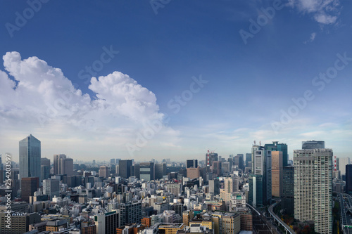 Landscape of tokyo city skyline in Aerial view with skyscraper  modern office building and blue sky background in Tokyo metropolis  Japan.