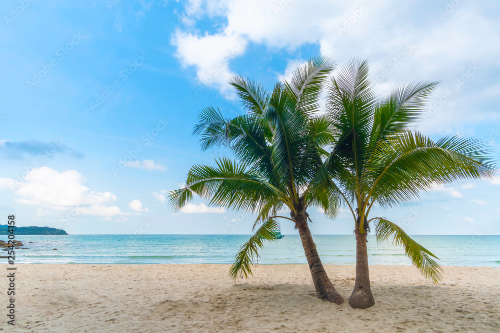 Palm trees, beautiful beaches on Koh Kood, Thailand