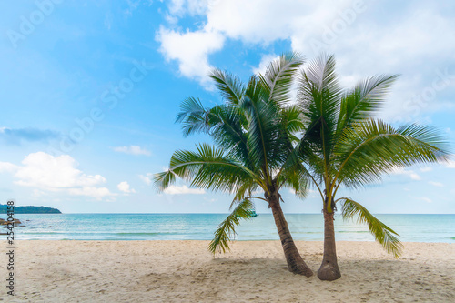 Palm trees  beautiful beaches on Koh Kood  Thailand