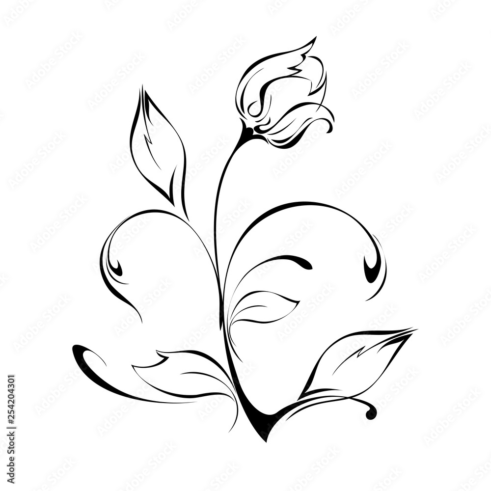 Tulip Bud on stem with leaves in black lines on white background Tulip Bud on stem with leaves in black lines on white background
