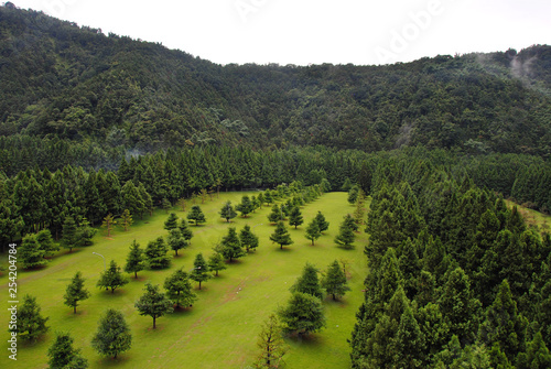 green landscape in the mountains photo