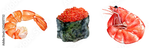 Watercolor hand drawn of shrimp, sushi caviar.