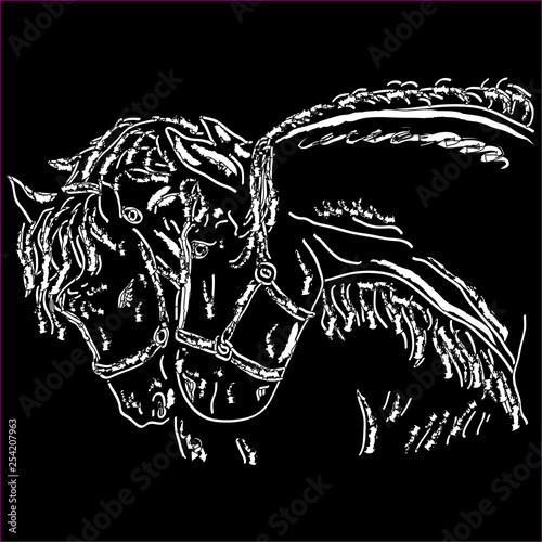 Beautiful horse heads Silhouette isolated on white background