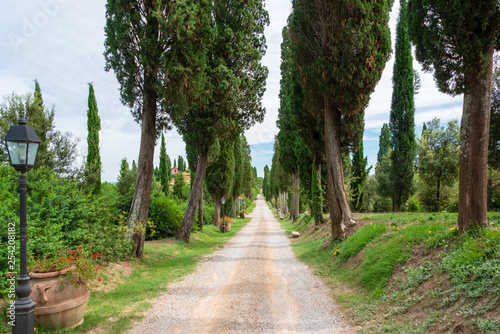 Die Landschaft der Crete Senesi besteht aus den vier Gemeinden Asciano, Buonconvento, Monteroni d’Arbia und Rapolano Terme sowie San Giovanni d’Asso (Ortsteil von Montalcino) photo