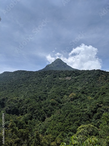 Adam's Peak