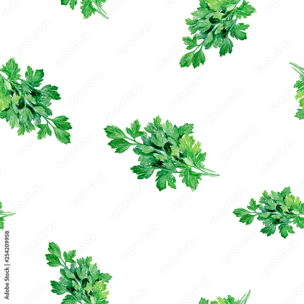 Watercolor hand drawn parsley spices isolated seamless pattern. Watercolor hand drawn parsley spices isolated seamless pattern.