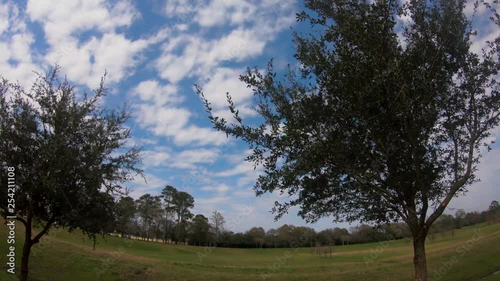 Time-lapse at a park with clouds moving overhead