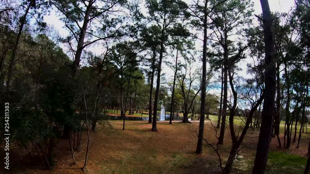 Drone shot rising and falling through trees Drone shot rising and falling through trees