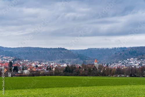 Germany, dreamy houses of village rudersberg behind green pasture