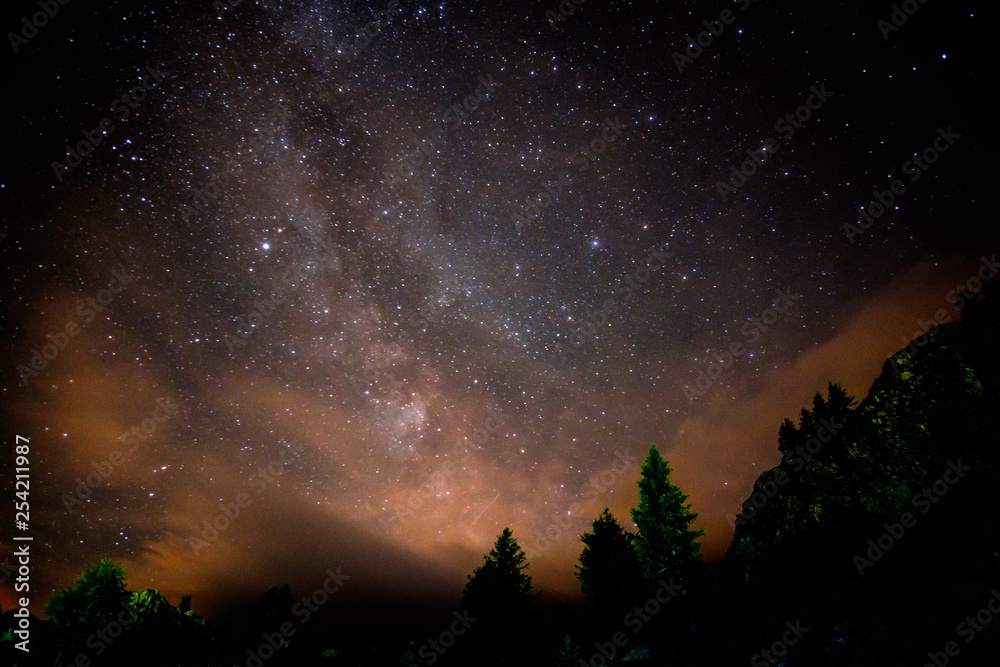 Starry nigjt on the mountains with the Milky Way and pine trees