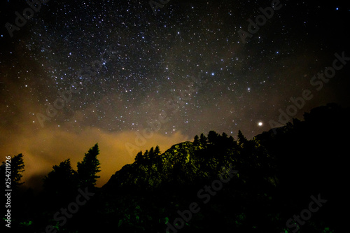 Starry nigjt on the mountains with the Milky Way and pine trees photo