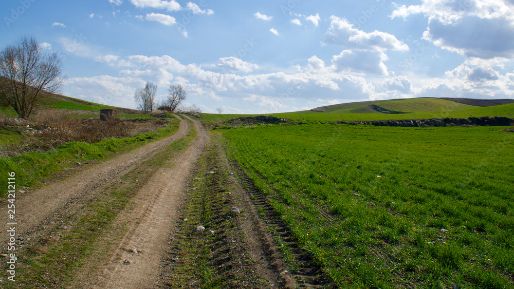 road in the field road in the field