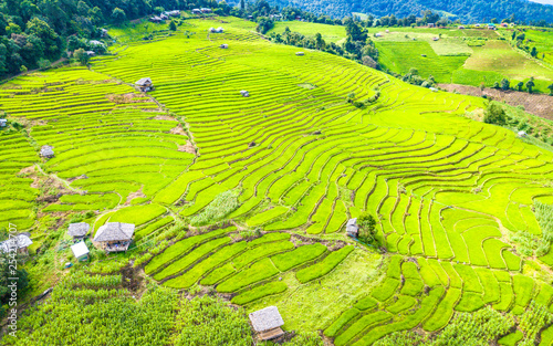 Photography Aerial view amazing landscape rice terraces in a beautiful day Chiang Mai Thaila