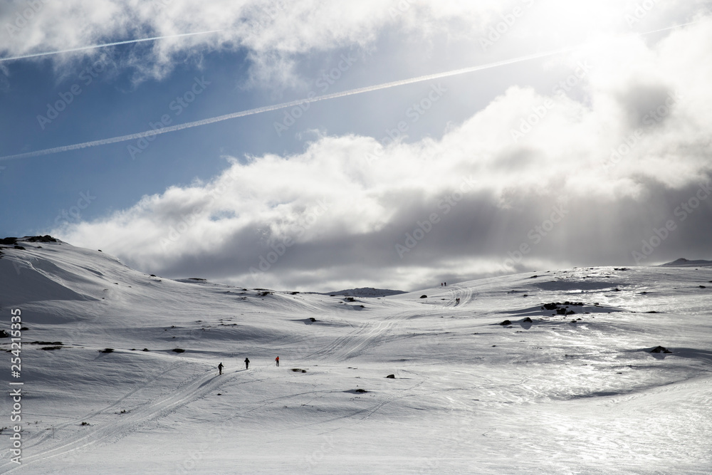 People are doing cross country skiing on holiday in Norway People are doing cross country skiing on holiday in Norway