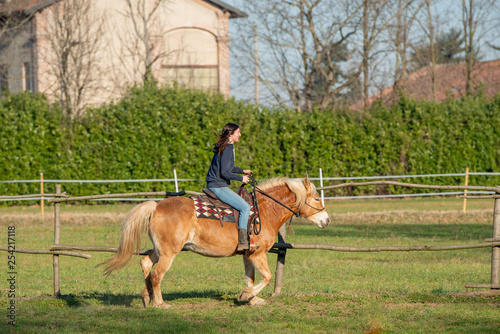 horses run free