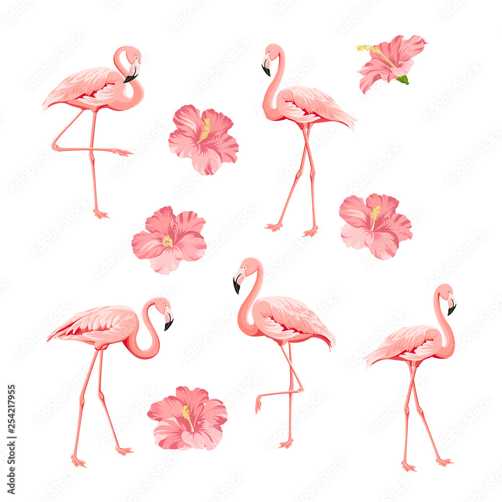 Fototapeta premium Tropical birds and flowers collection. Pink flamingos set. Hibiscus flowers kit. Fashion tropic bundle. Elements for invitation card and your template design. Vector illustration.
