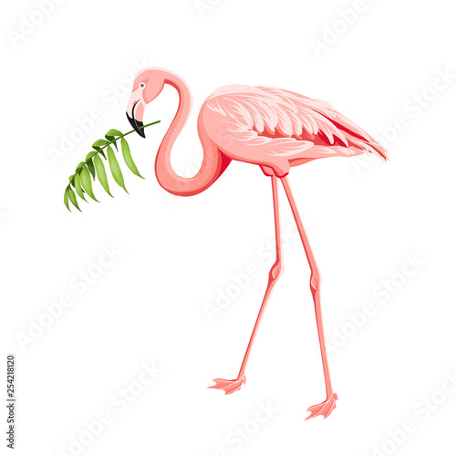Beautiful tropical image with pink flamingo and plumeria flowers on a white backdrop. Exotic tropical palm tree. Flamingo background and jungle leaf in his beak. The Natural background.