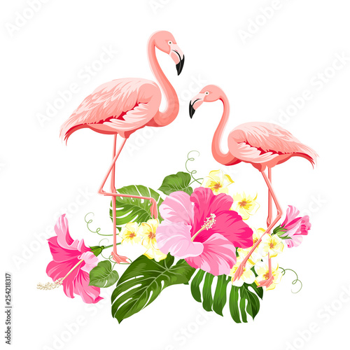 The tropical background. Summer illustration with bouquet of green palm leaves and red hibiscus flowers. Illustration with colorful flamingo on white background. Vector illustration.