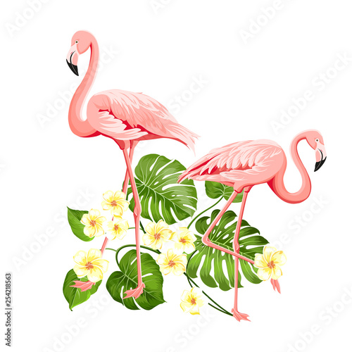 Floral exotic natural decoration. Safary summer background with Tropical leaves silhouette, blooming plumeria flowers, and flamingo birds. Vector illustration.