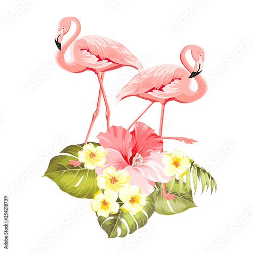 Floral exotic natural decoration. Safary summer background with Tropical leaves silhouette, blooming plumeria flowers, and flamingo birds. Vector illustration. © Kotkoa