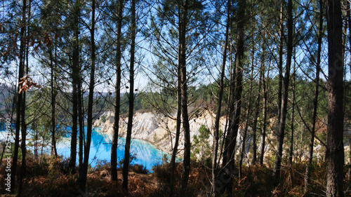 Pines with Old clay quarry turned into a lake in background