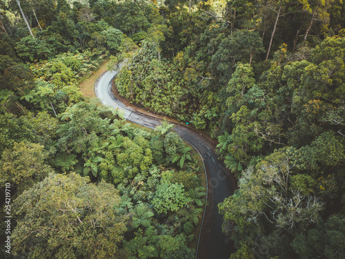 winding mountain road