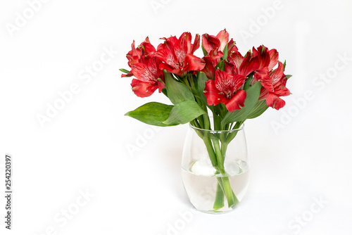 A small bouquet of red flowers Alstroemeria on a white background. Content for the celebration of the Eighth of March, Women's Day, Valentine's Day, Birthday.