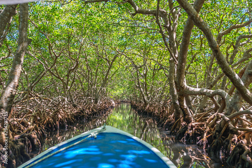 Bootsfahrt durch Mangroventunnel in Punta Gorda auf Roatan.