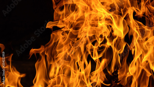 Closeup forest fire, fire flame background