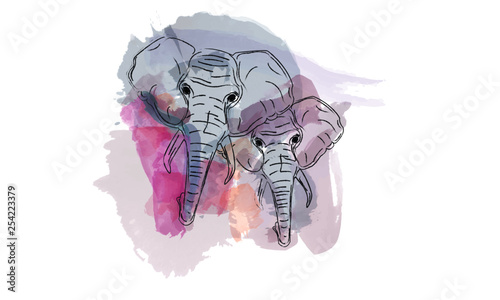 elephant water color animal
