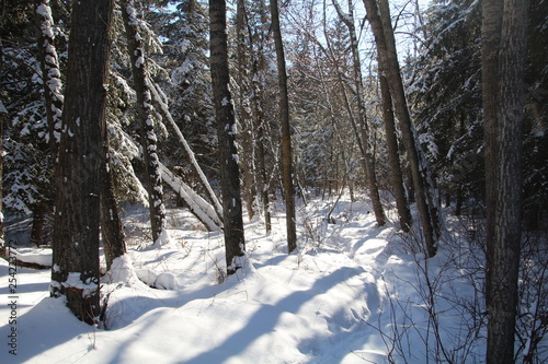 Winters Trail, Whitemud Park, Edmonton, Alberta