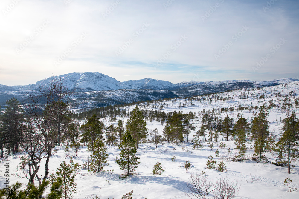 Skiing in Northern Norwegian mountains - Sausheia Skiing in Northern Norwegian mountains - Sausheia