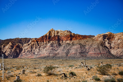 Red Rock Grassland Landscape