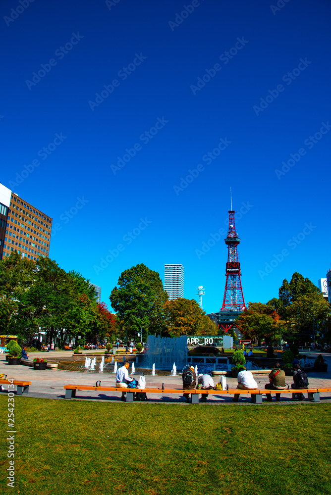 Obraz premium 札幌大通り公園