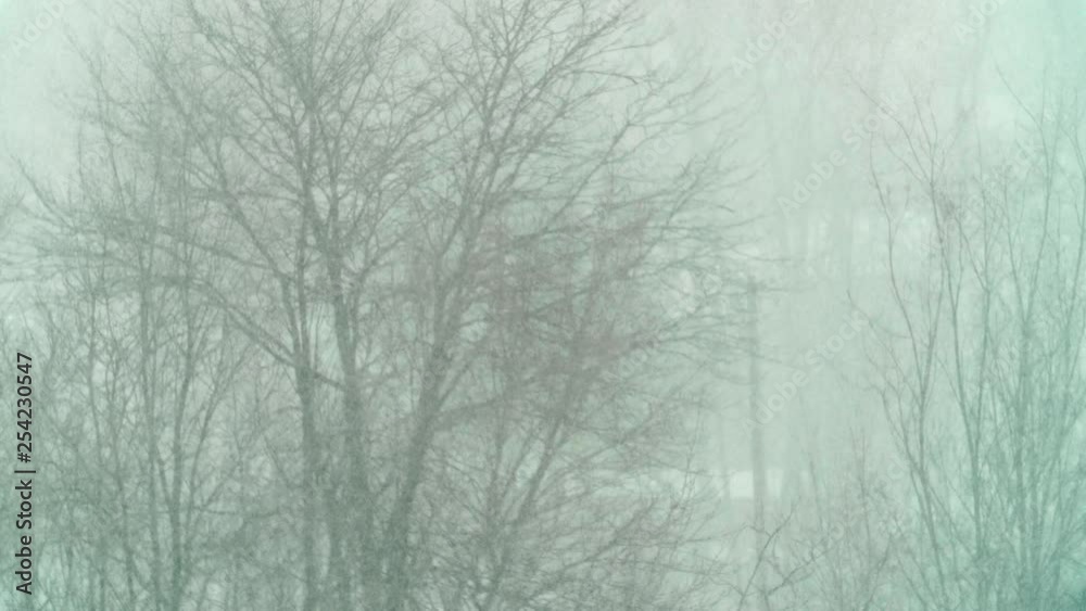 Blizzard with Bare Trees in Winter PAN RIGHT SLOW MOTION Blizzard with Bare Trees in Winter PAN RIGHT SLOW MOTION