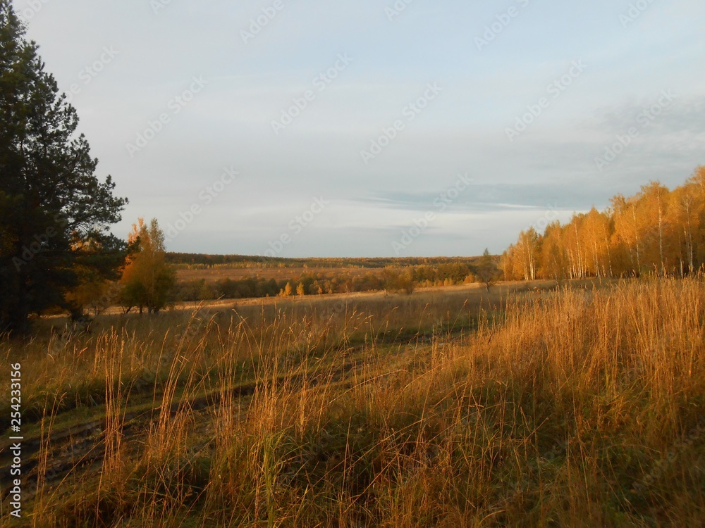 Autumn landscape with rural road and trees in the evening. Autumn landscape with rural road and trees in the evening.