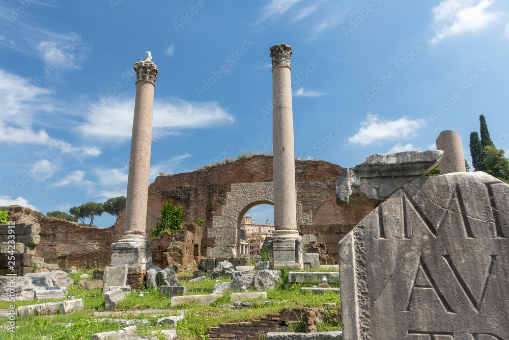 Ruins of ancient Basilica Emilia in Forum Romanum. Rome.