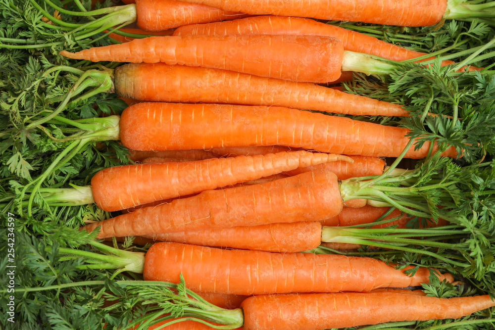 Ripe fresh carrots as background, space for text Ripe fresh carrots as background, space for text